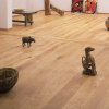parquet-area-03