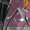 skytech-16